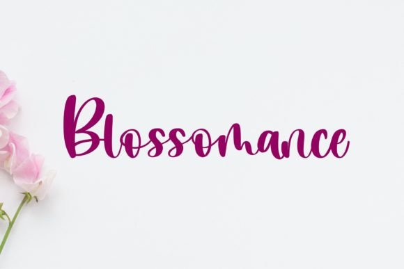 Blossomance: A Handwritten Script Font That Elevates Campaign Visuals