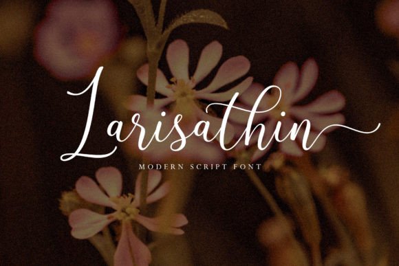 Larisathin: A Modern Script Font for Editorial Elegance